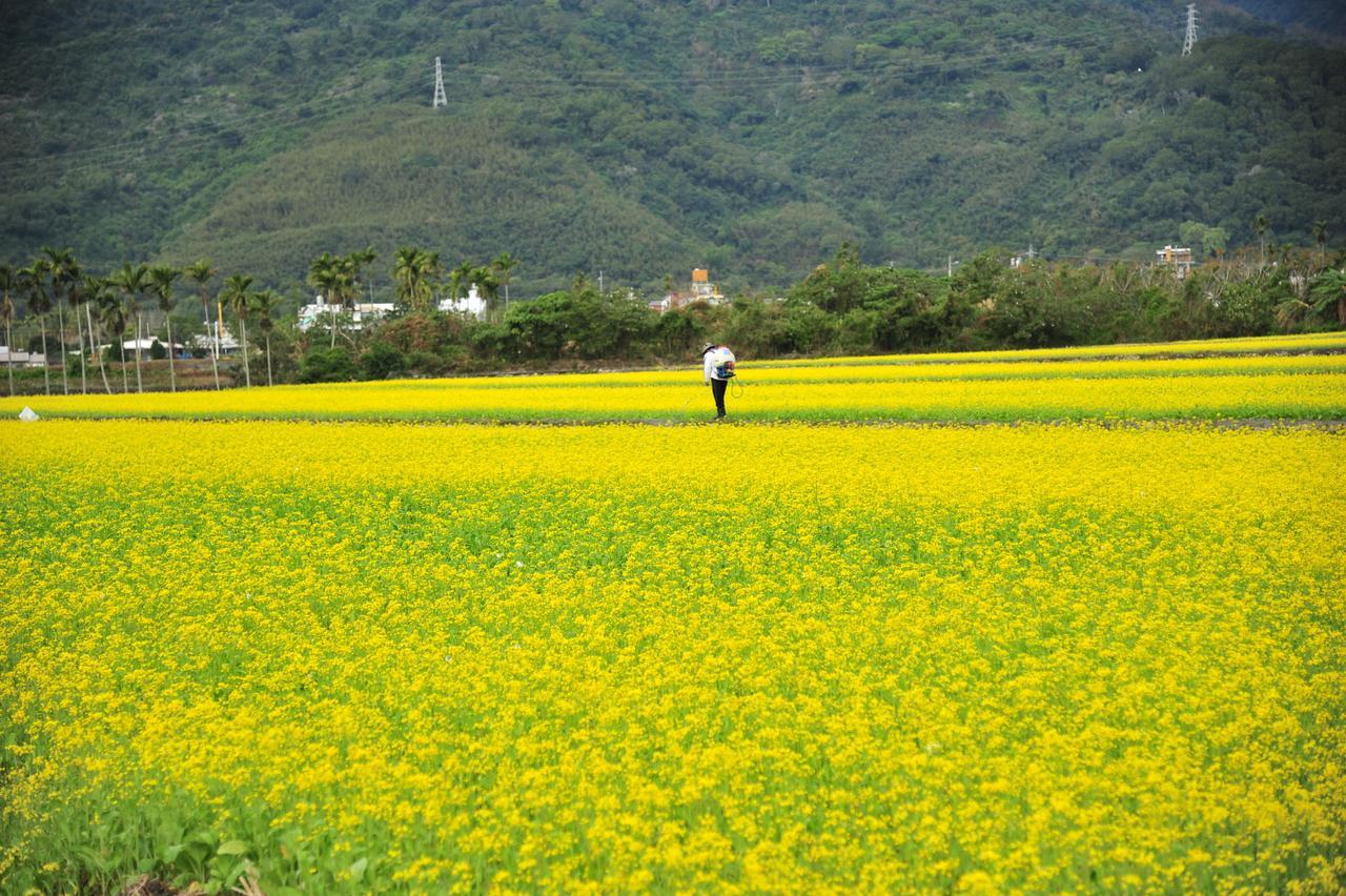 Guanshan Fukuda Homestay מראה חיצוני תמונה
